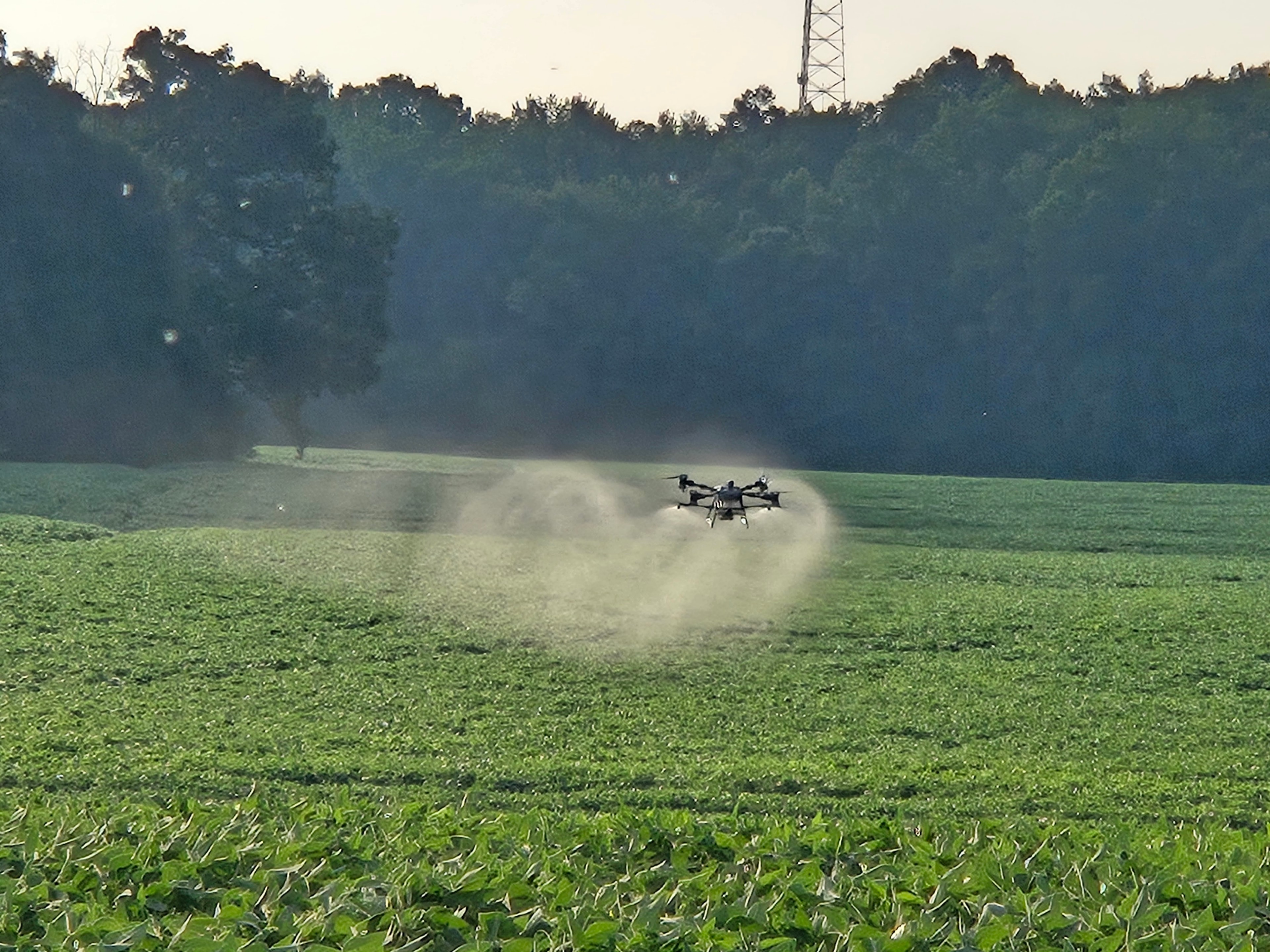 Sustainable farming practices in a green field